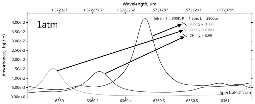 Spectrum-mass spectrum combined device and detection method
