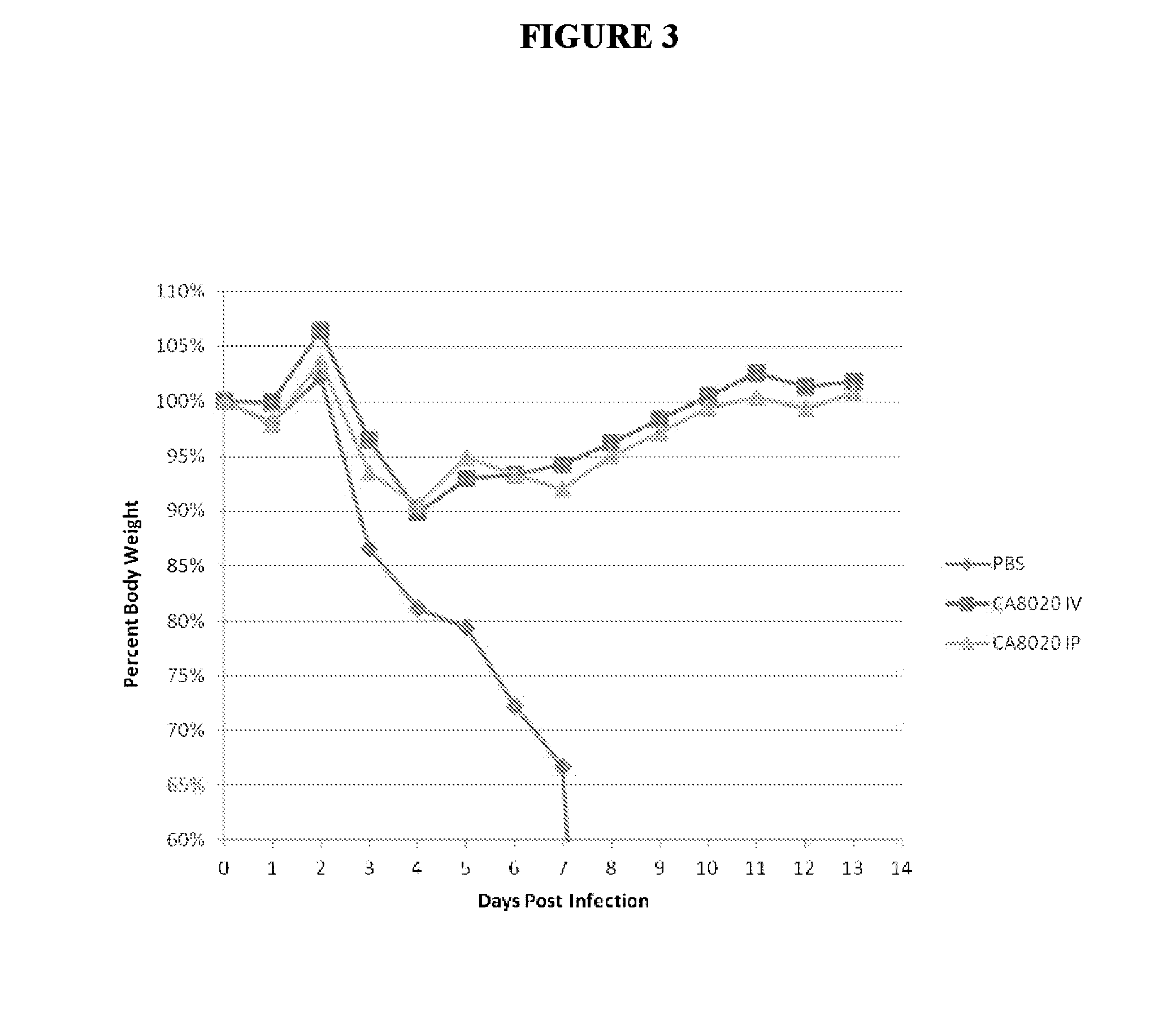 Composition and methods based on neutralizing antibodies delivered intranasally for enhanced therapeutic efficacy