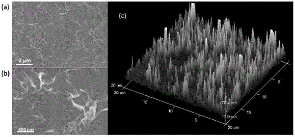 A kind of wrinkled graphene and its controllable preparation method