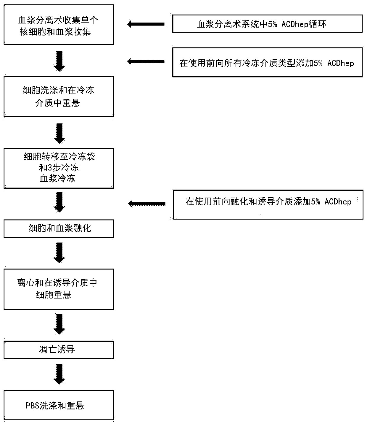 Therapeutic apoptotic cells for cancer therapy