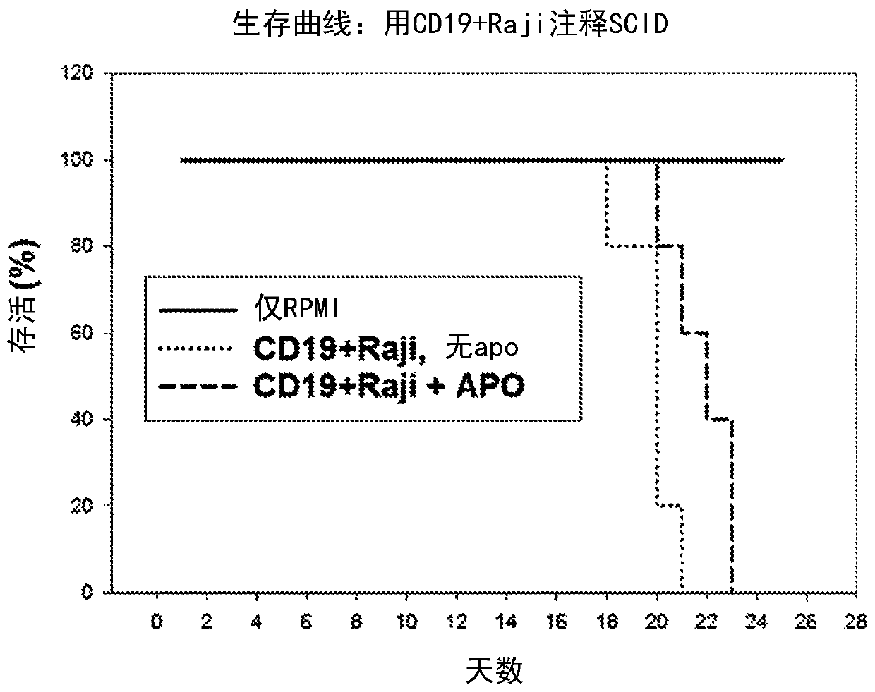 Therapeutic apoptotic cells for cancer therapy