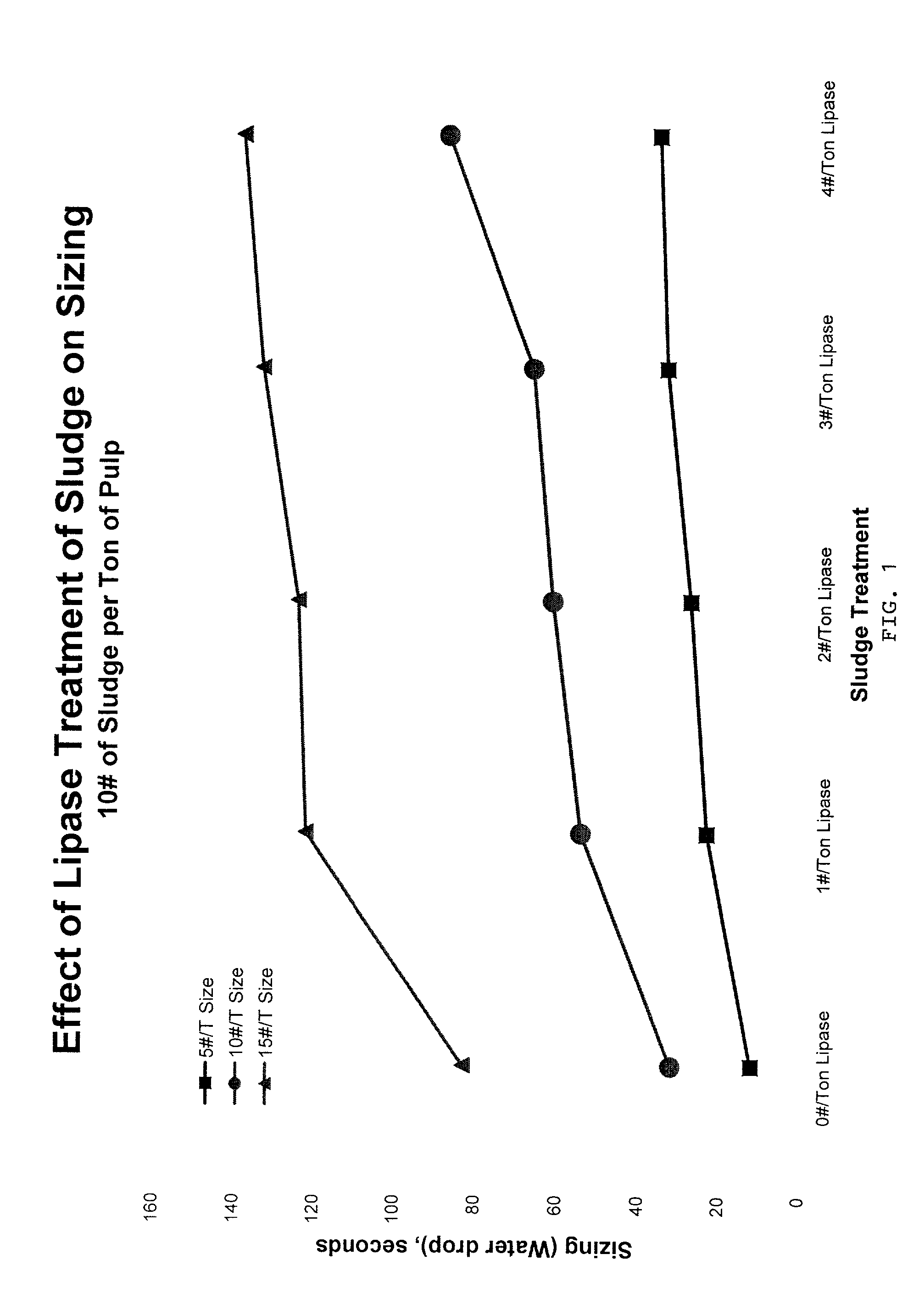 Papermaking process using enzyme-treated sludge, and products
