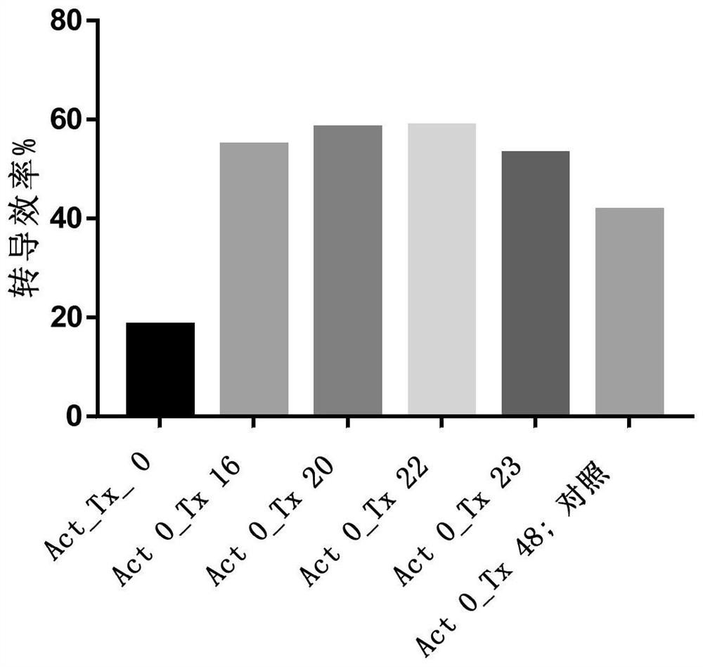 Method for transduction of cells by viral vectors