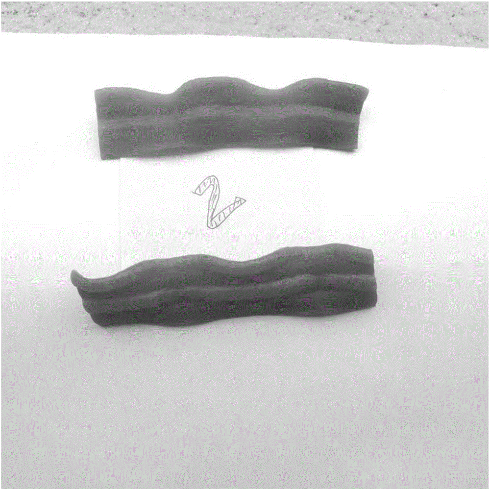 Double-color sliced-meat pet food and preparation method thereof