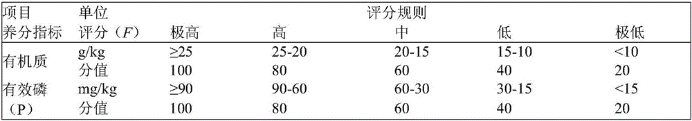 Conditioning agent of high-nutrient saline soil and preparation method and application thereof