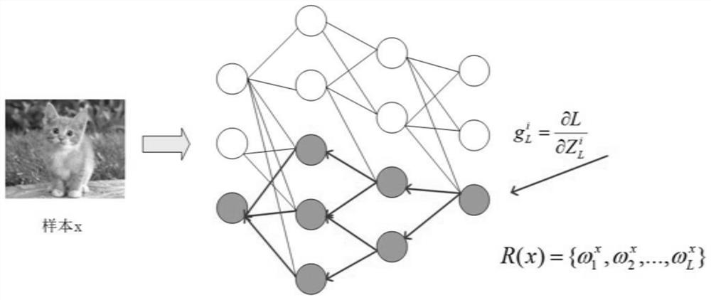Deep neural network model reinforcing method based on distributed brain-like graph