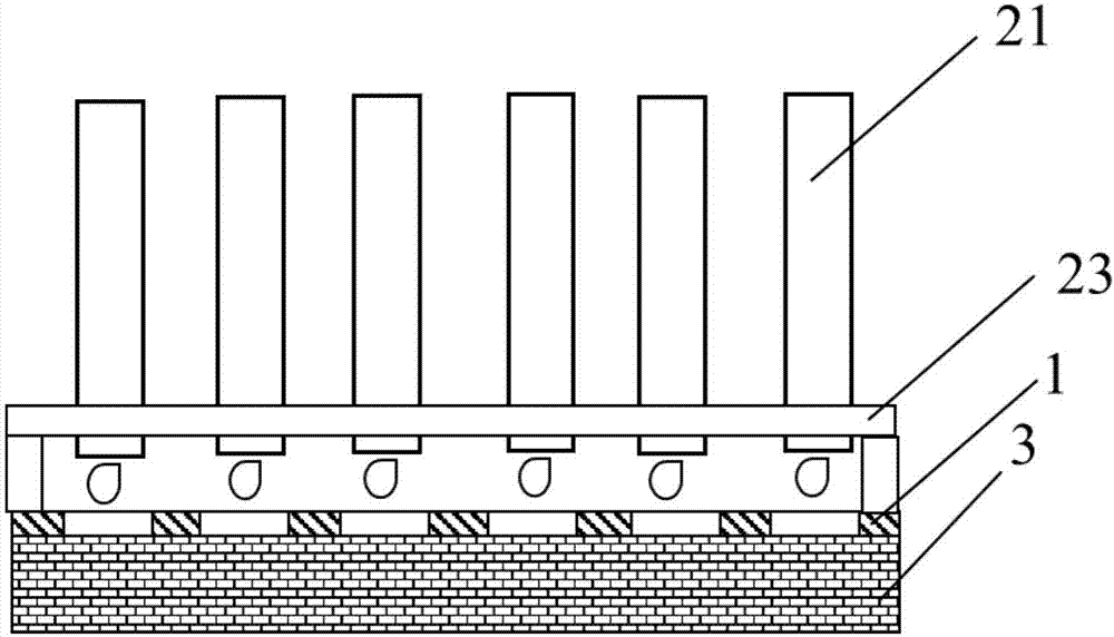 Liquid adding device used for immunoblotting