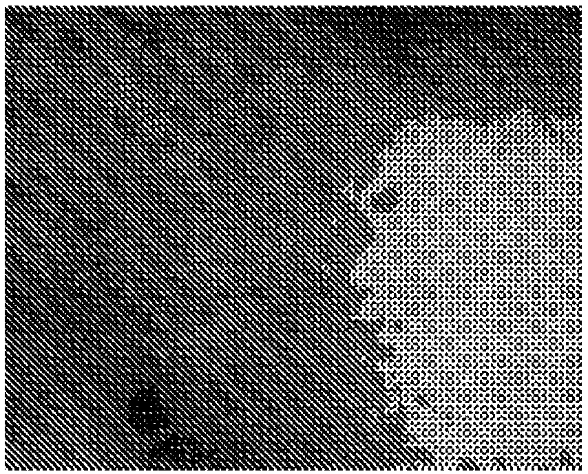 Moisturizing face tenderizing hydrosol and preparation method thereof