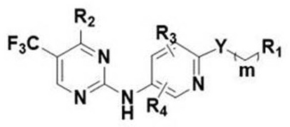 no  <sup>2</sup> -Substituted alkoxy aromatic ring-2-aminopyrimidine derivatives and their application