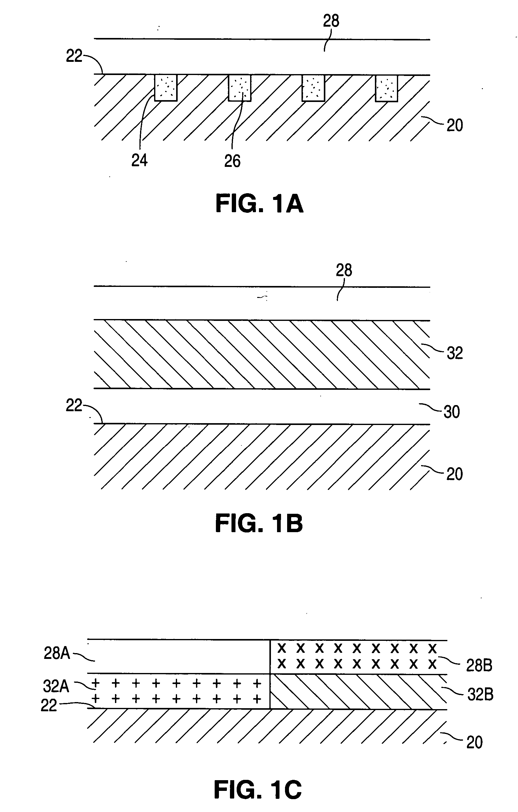 40-O-(2-hydroxy)ethyl-rapamycin coated stent