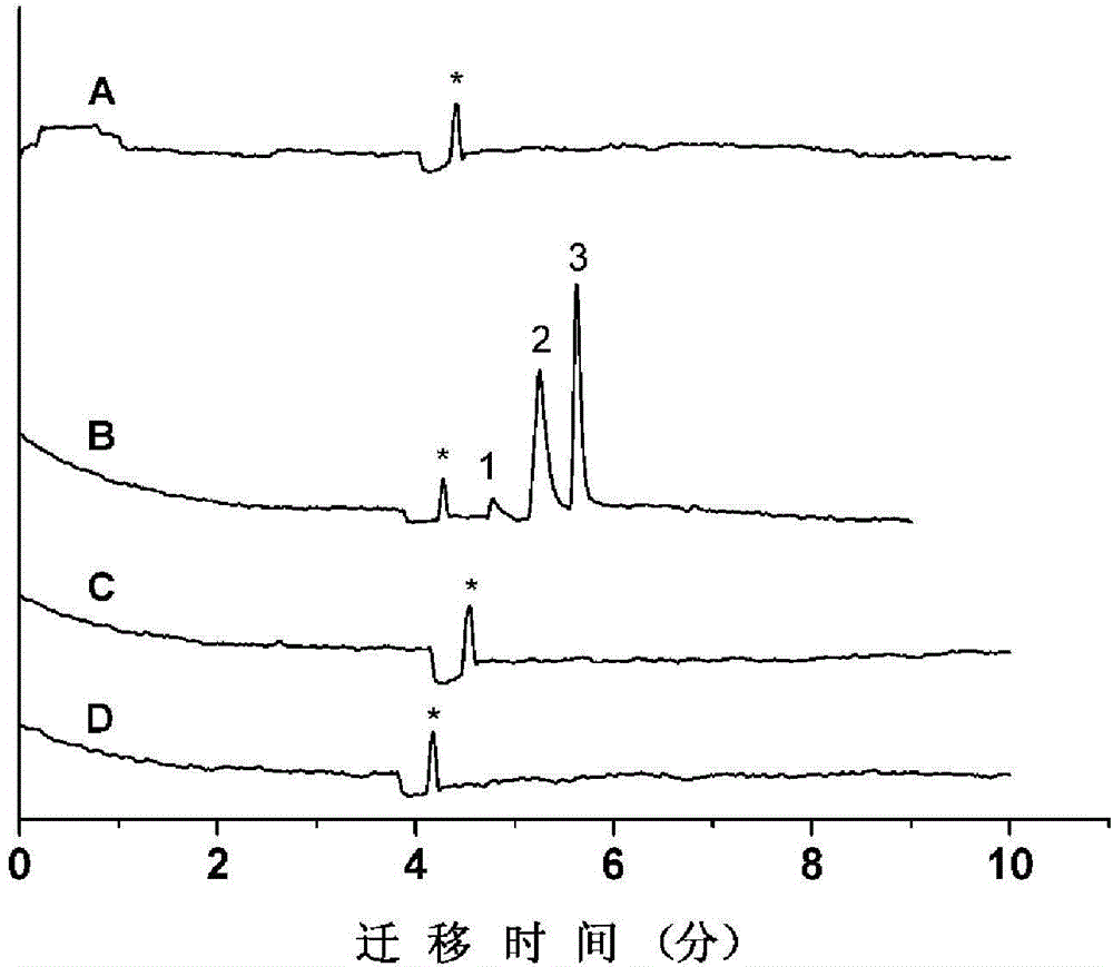 Heavy metal ion adsorbent and preparation method thereof