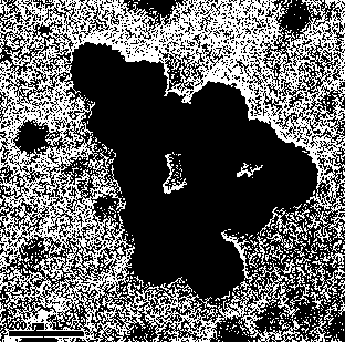 Preparation method of strawberry-type polystyrene-silicon dioxide nanocomposite microspheres