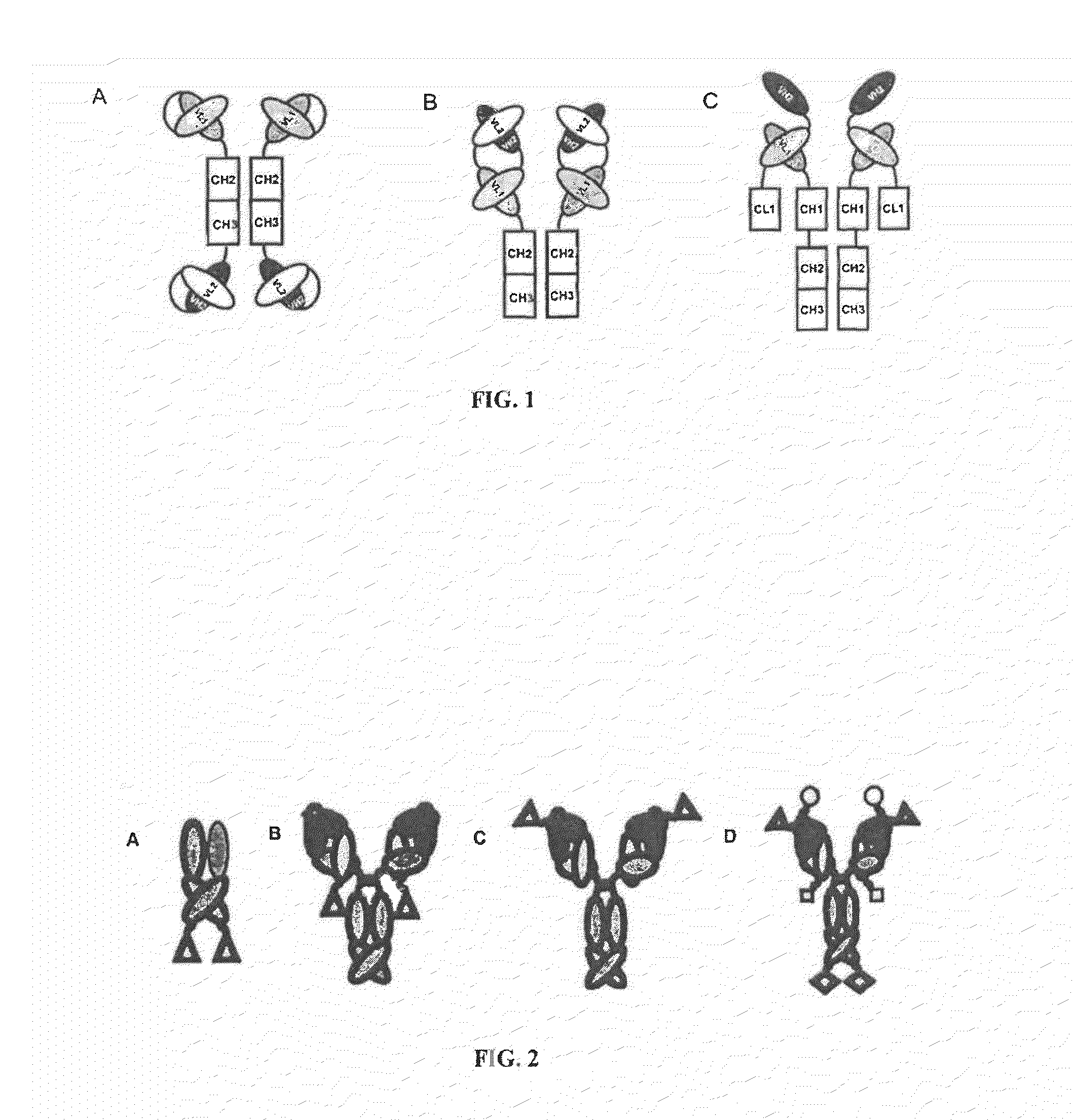 Ang-2 Binding Complexes and Uses Thereof