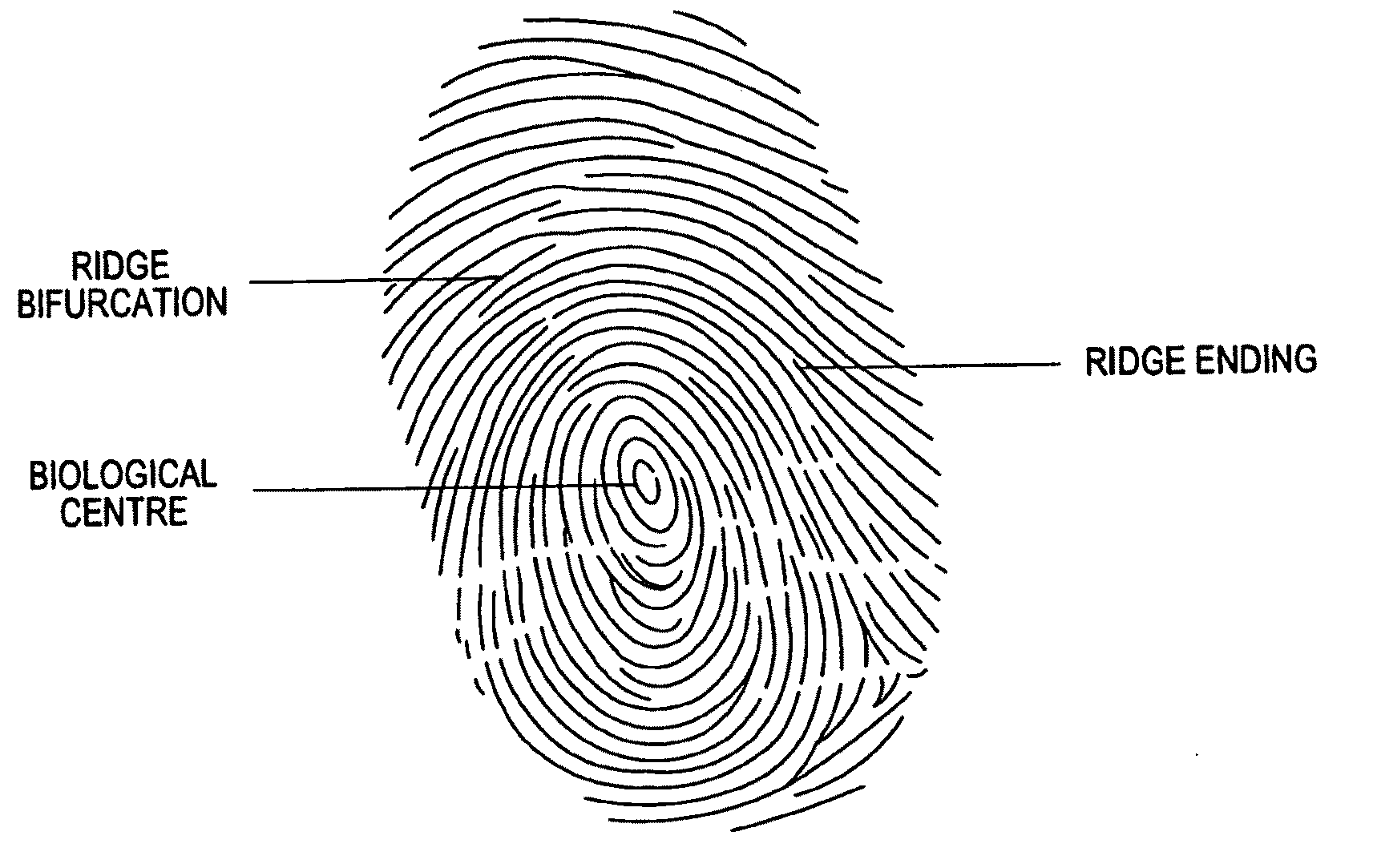 Fingerprint matching method and apparatus