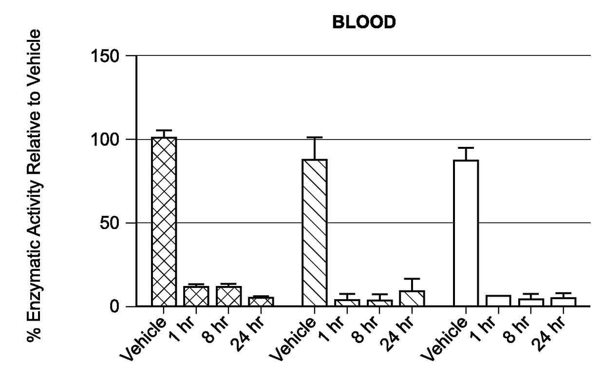 Liposomal compositions of epoxyketone-based proteasome inhibitors