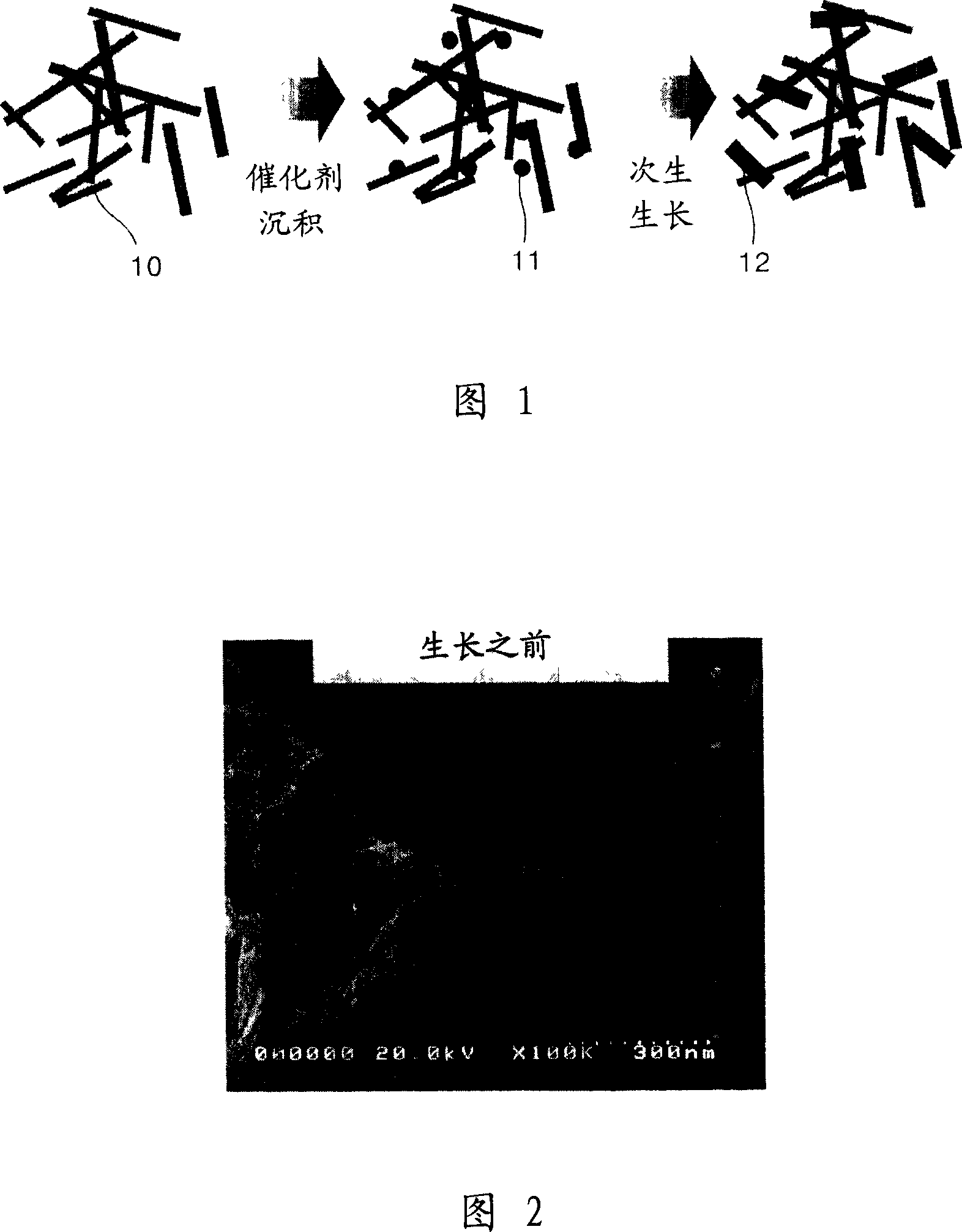 Carbon nanotube, a supported catalyst comprising the same, and fuel cell using the same