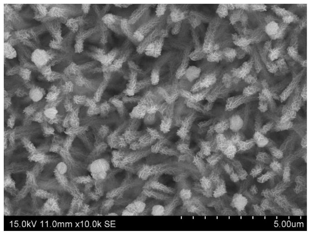 Preparation method of light-enhanced supercapacitor electrode