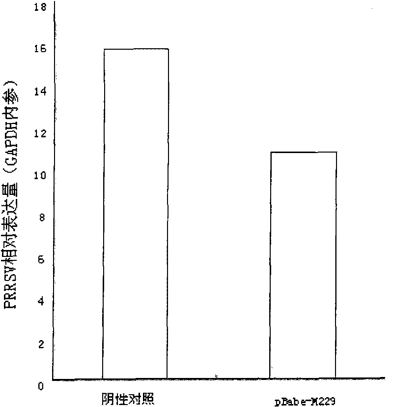 siRNA segment and application thereof used for curing and/or preventing porcine reproductive and respiratory syndrome