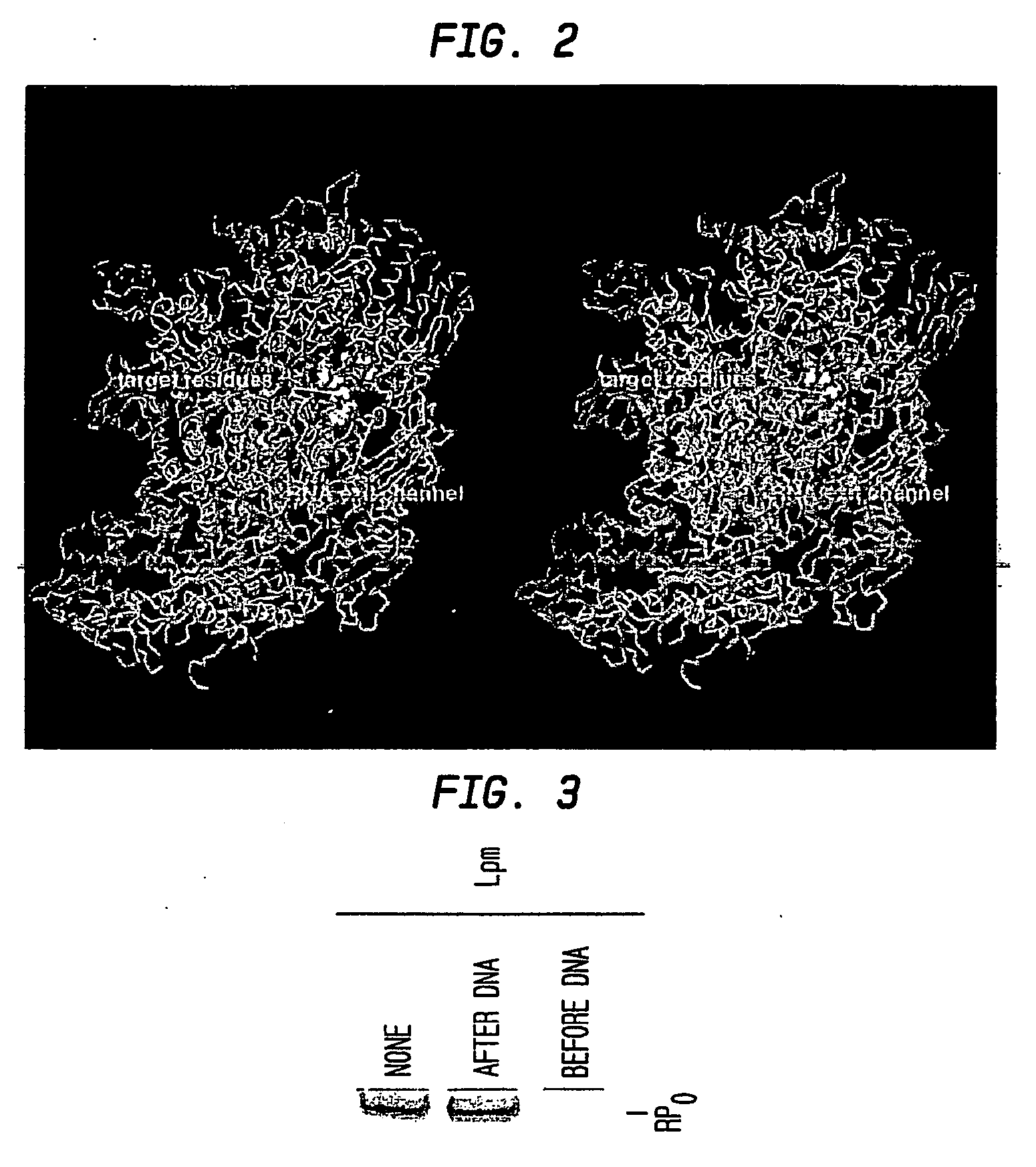 Rna-exit-channel: target and method for inhibition of bacterial rna polymerase