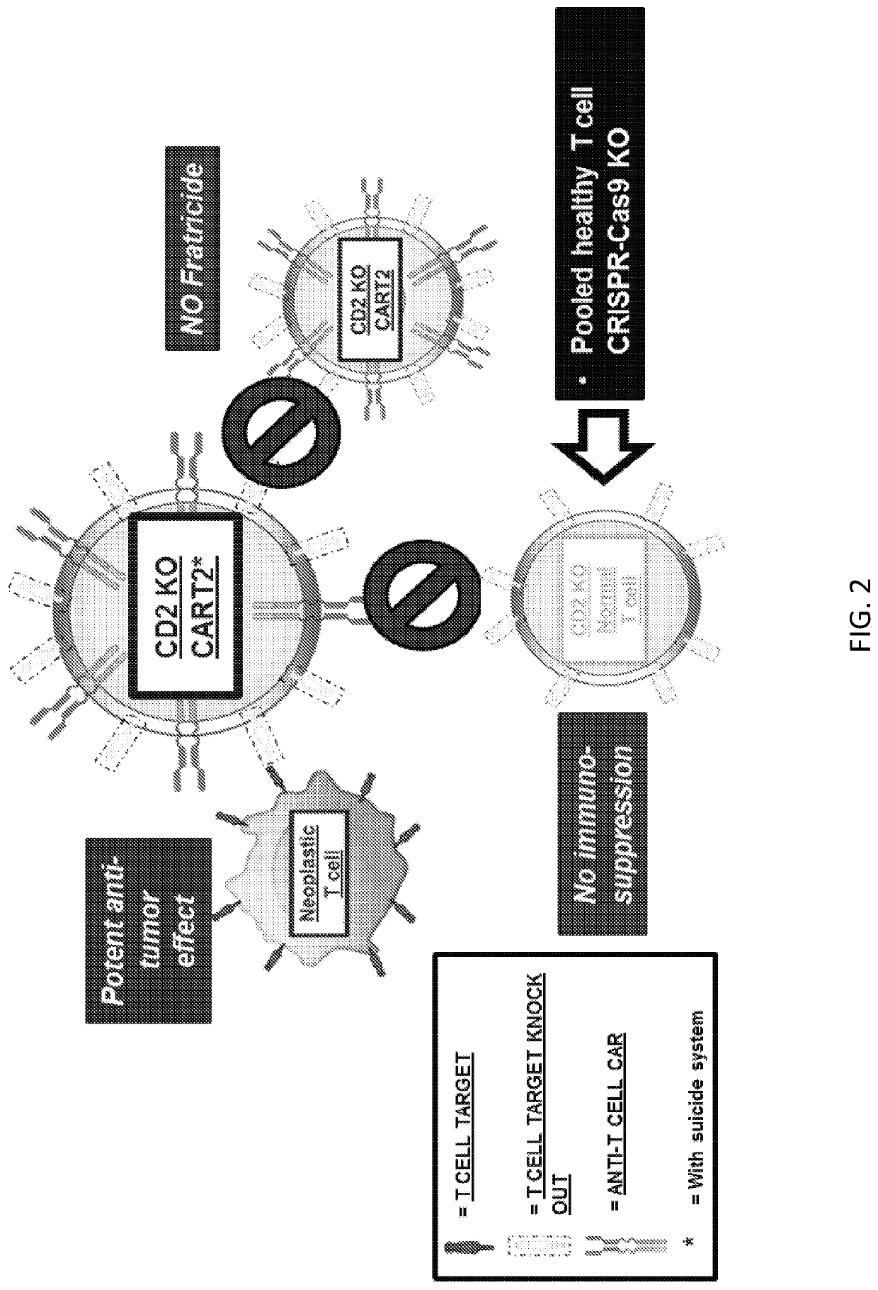 Use of CD2/5/7 Knock-Out Anti-CD2/5/7 Chimeric Antigen Receptor T cells Against T Cell Lymphomas and Leukemias