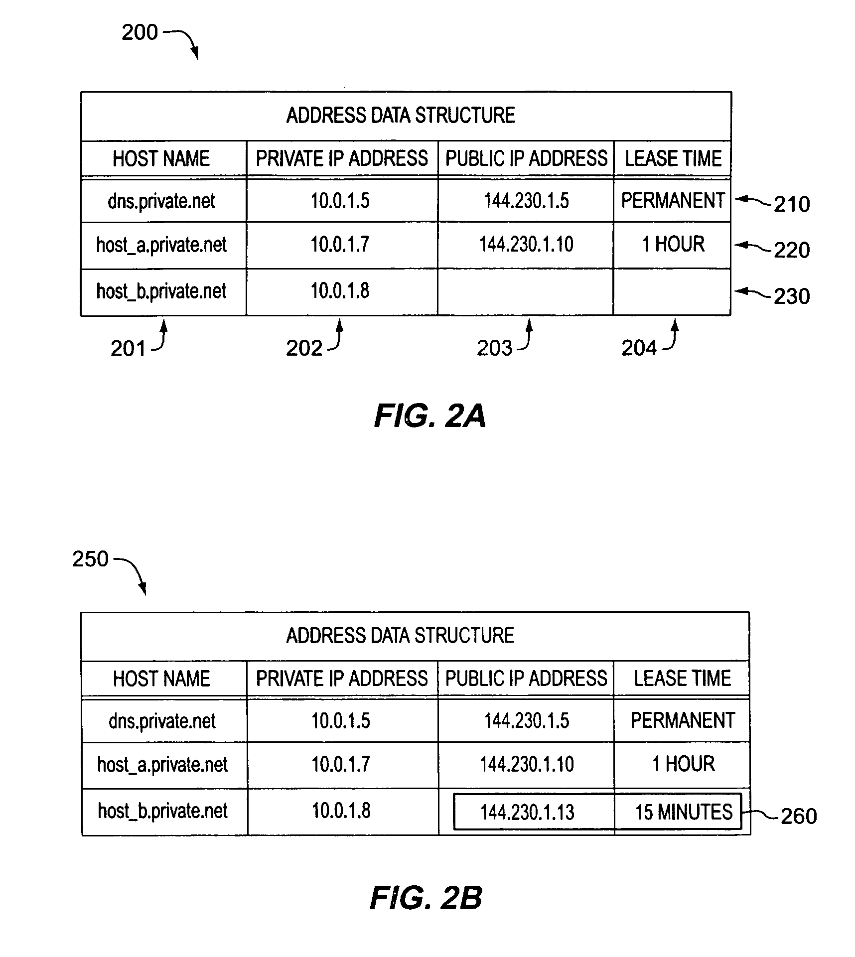 Method and apparatus for dynamic allocation of private address space based upon domain name service queries