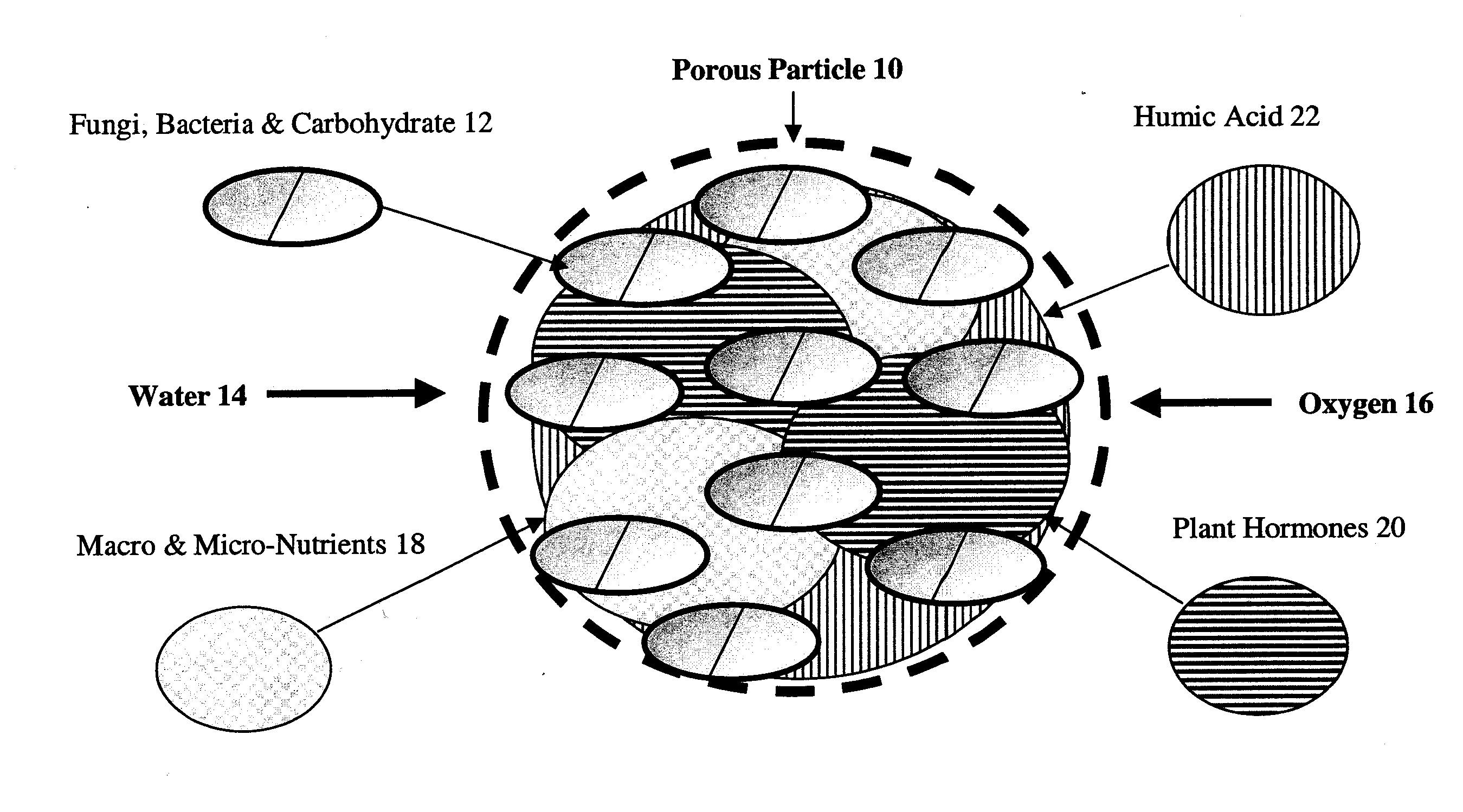 Biological soil nutrient system