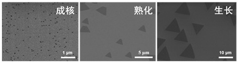 Preparation method for continuously growing tungsten selenide film through MOCVD