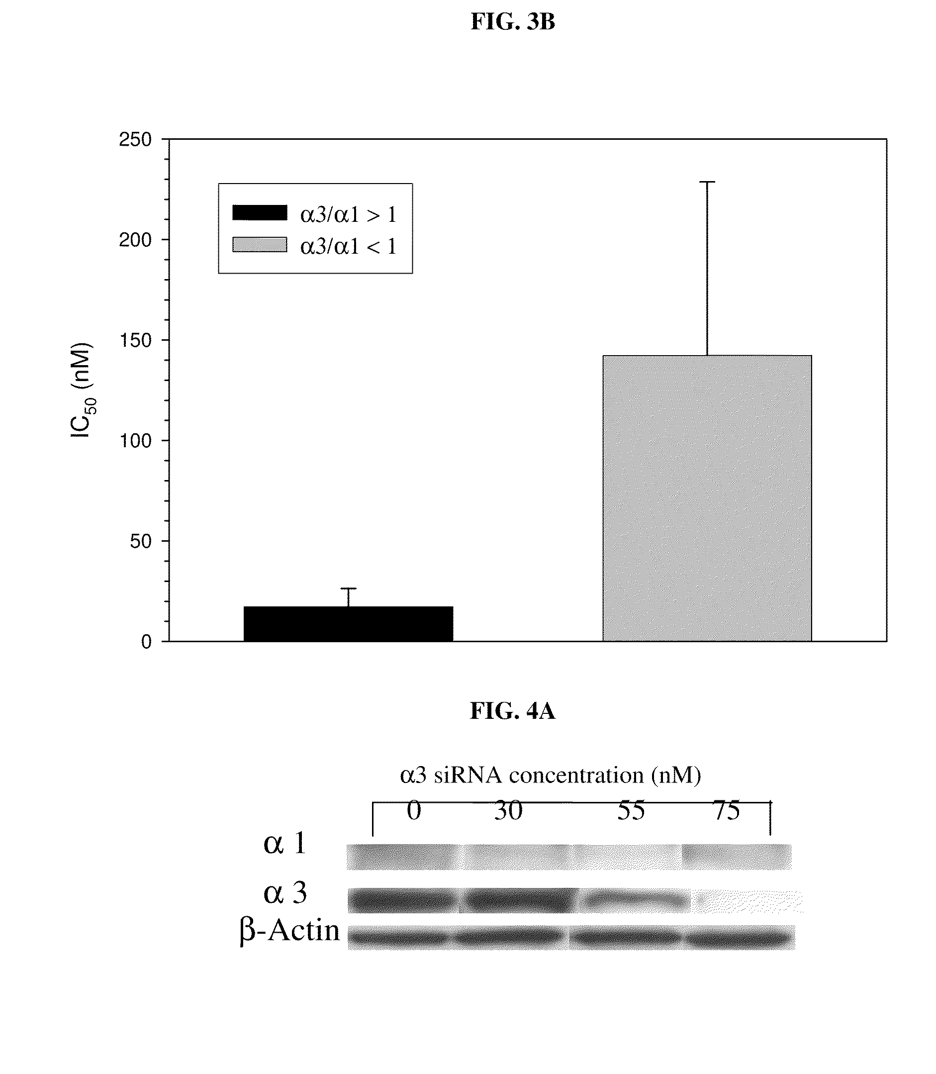 Method of determining the probability of a therapeutic response in cancer chemotherapy with cardiac glycoside