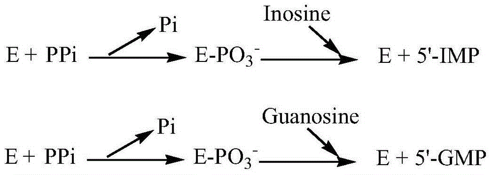 Acid phosphatase mutant, encoding gene, vector and application