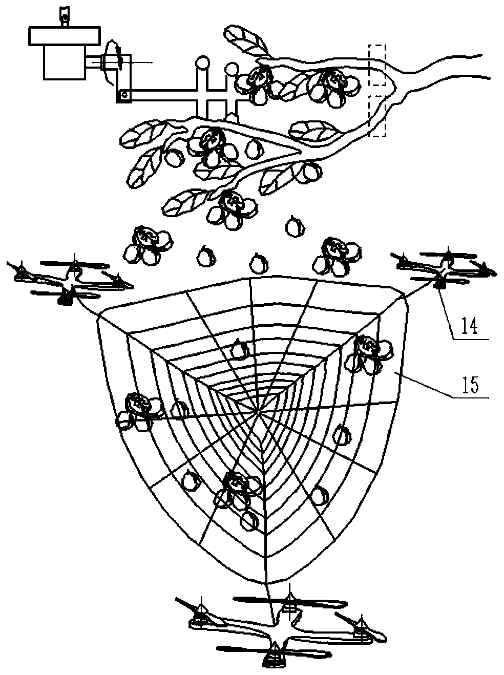 Chinese walnut picking and collecting device and method based on unmanned aerial vehicle