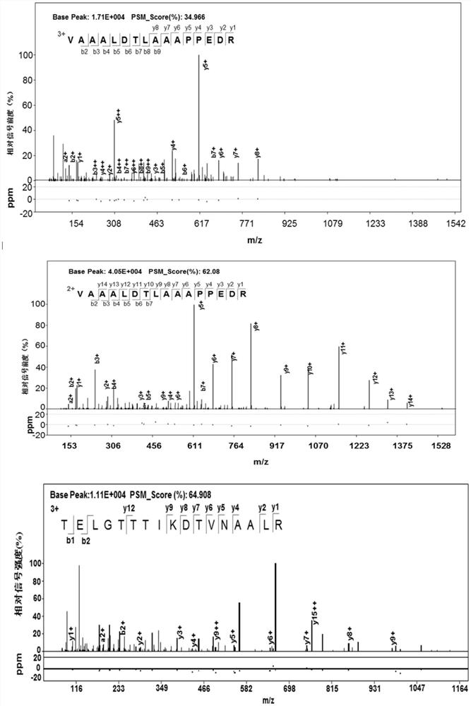 Mycobacterium tuberculosis h37rv coding gene and its application