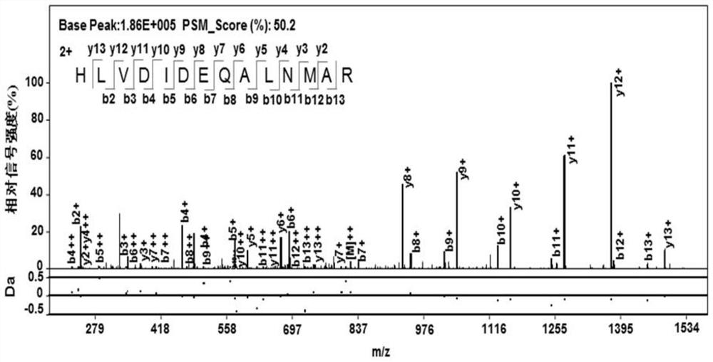 Mycobacterium tuberculosis h37rv coding gene and its application