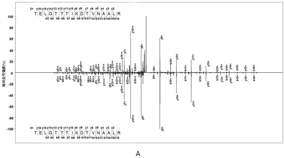 Mycobacterium tuberculosis h37rv coding gene and its application