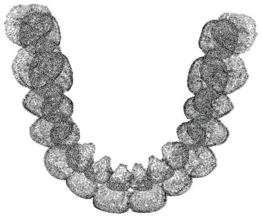 Automatic complete tooth reconstruction method based on multi-modal data registration