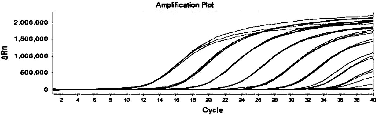 Primer probes and identification method for enterovirus typing identification