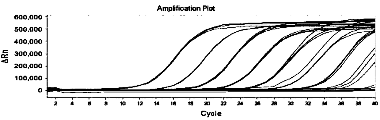 Primer probes and identification method for enterovirus typing identification