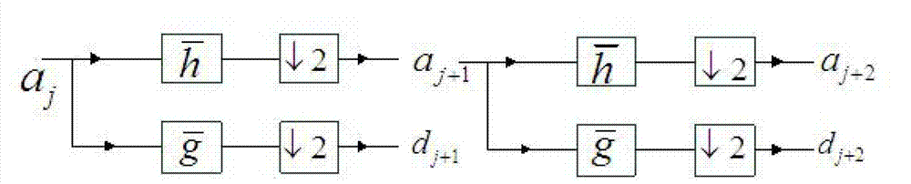 Micro-spectrometer signal denoising method based on stable wavelet transform