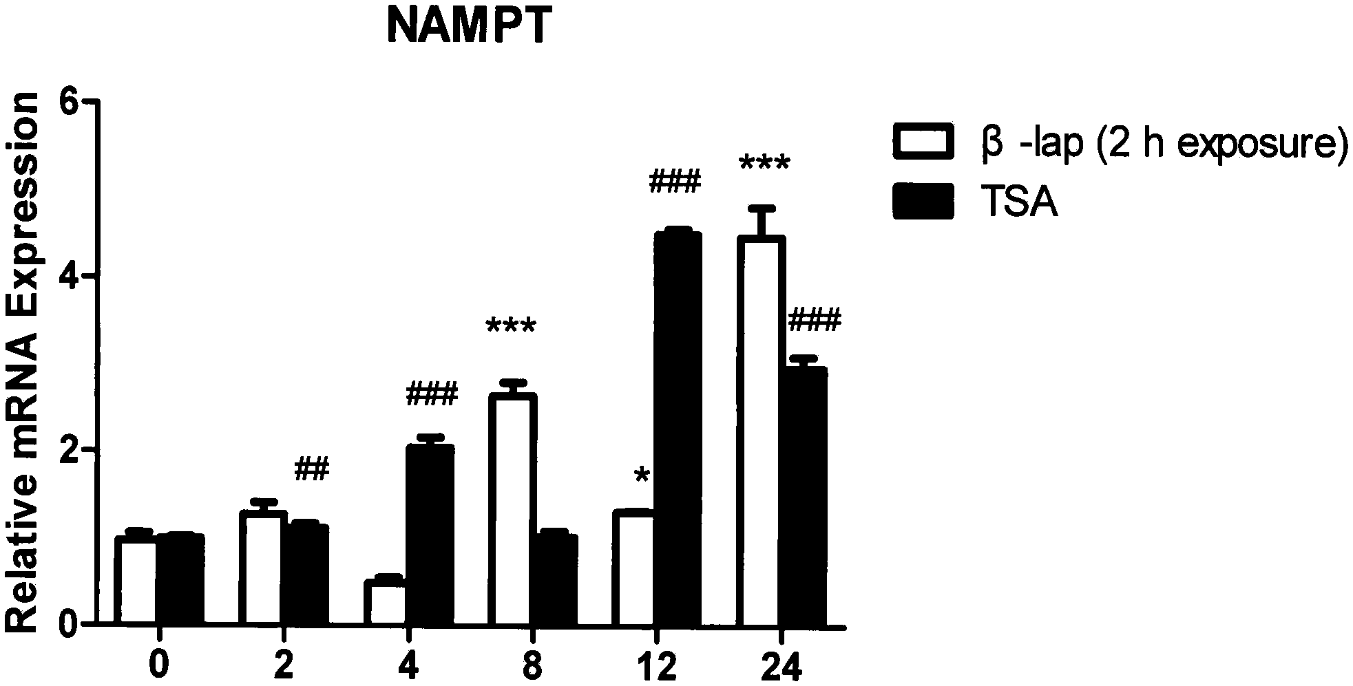 Synergetic Application of nicotinamide phosphoribosyltransferase (NAMPT) depressor and NQO1 substrate to treatment of non-small cell lung cancer