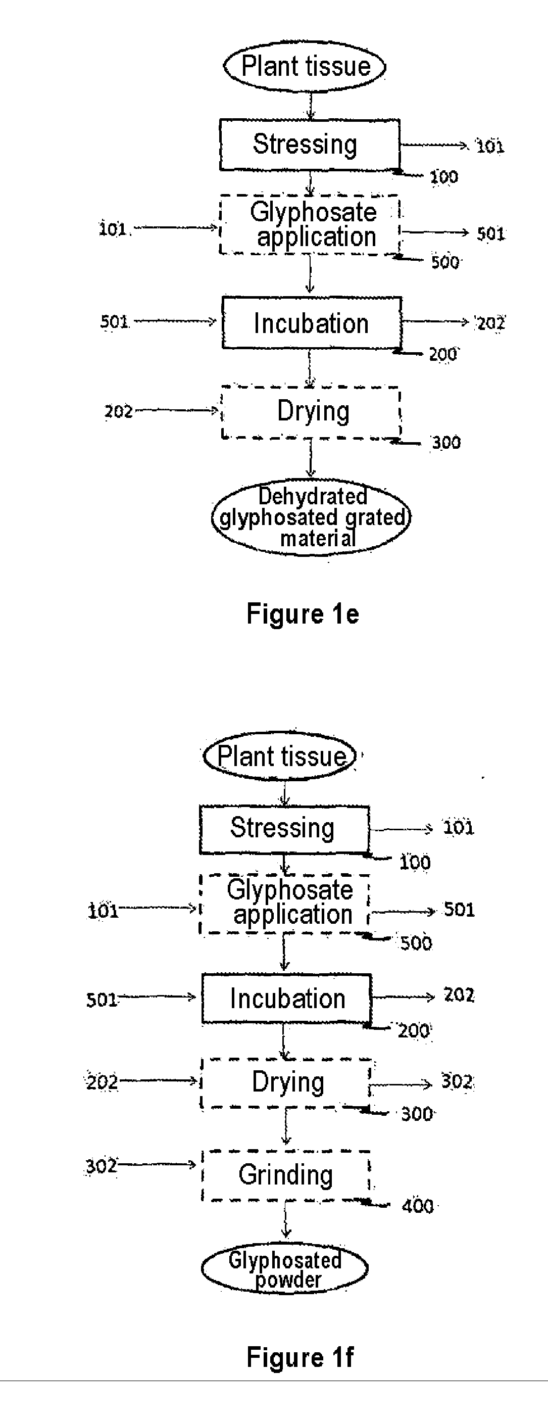 Process for the overproduction of shikimic acid and phenolic acids in fruit and vegetable crops