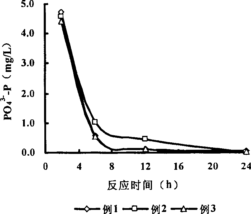 Denitrifying phosphorus-removing carrier and use