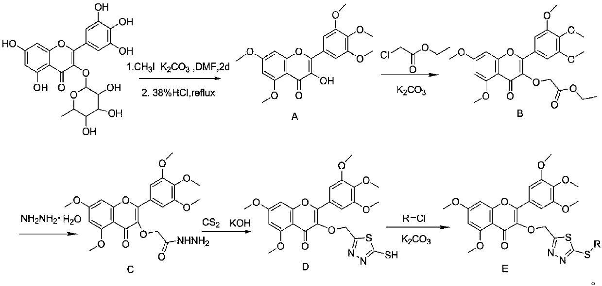 A kind of myricetin derivative containing thiadiazole sulfide structure and preparation method thereof