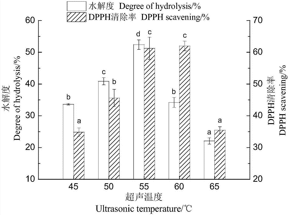 Penaeus japonicus anti-oxidative peptide and preparation method thereof