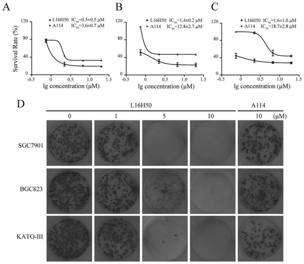 A kind of non-ATP competitive FGFR1 inhibitor and its application