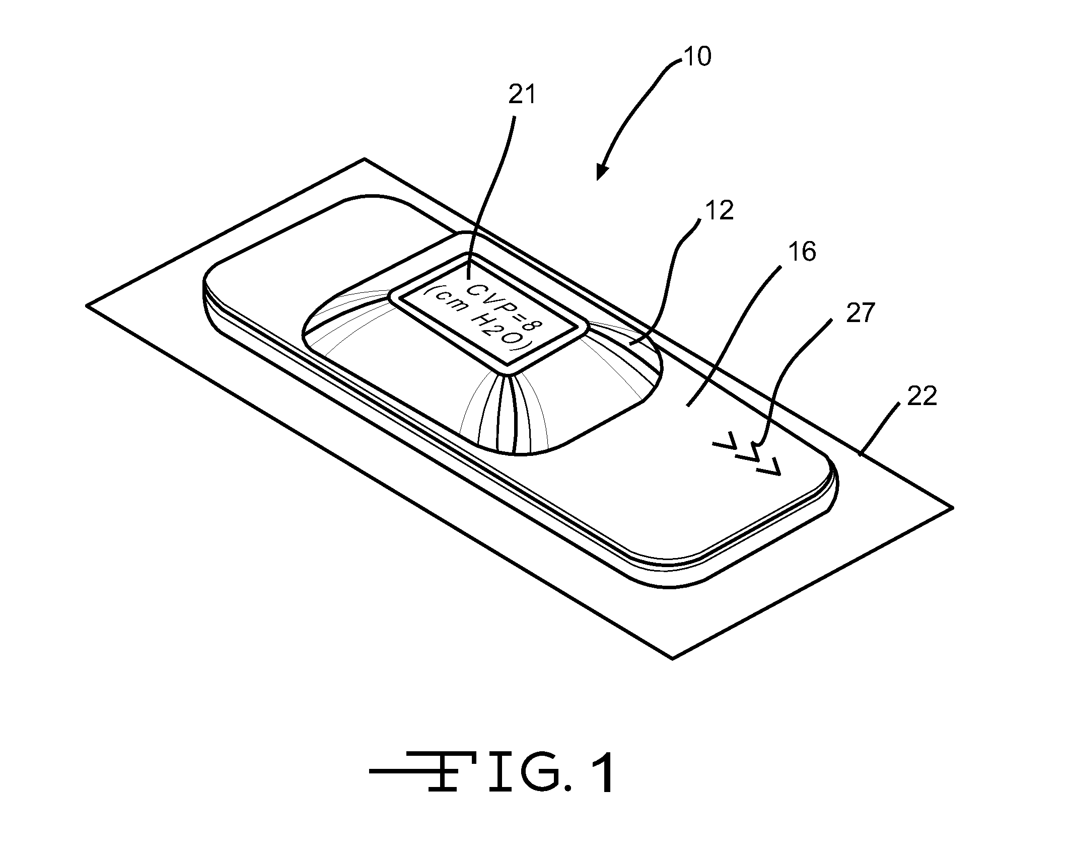 Ultrasonic monitoring device for measuring physiological parameters of a mammal