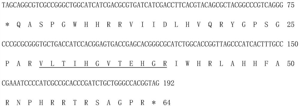 Mycobacterium tuberculosis h37rv encoding gene and its application