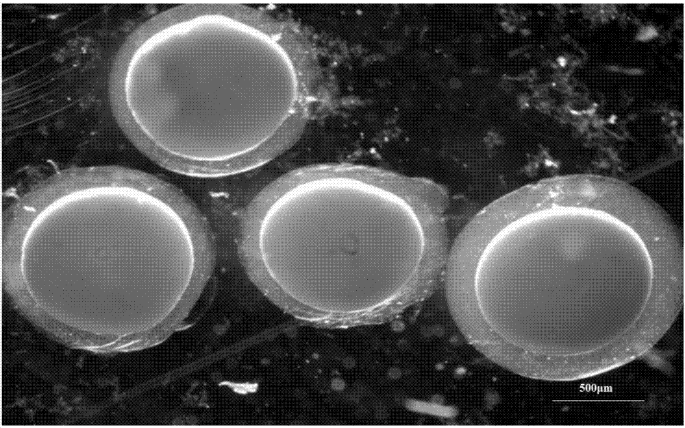 Preparation method of multilayer-embedded microcapsules