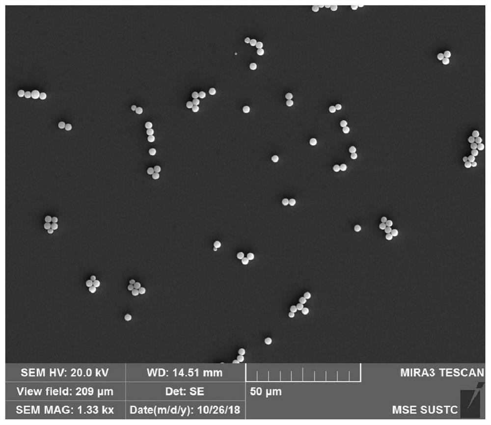 A kind of anisotropic conductive adhesive and its preparation method and application