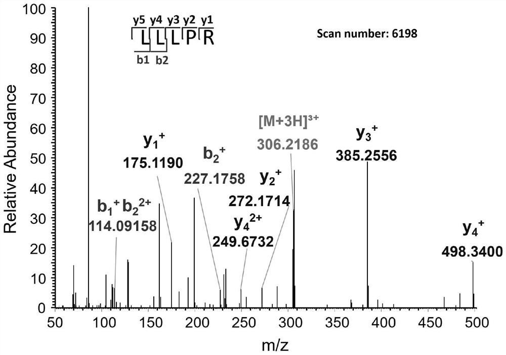 Polypeptide with PINK1 kinase agonist activity and application thereof