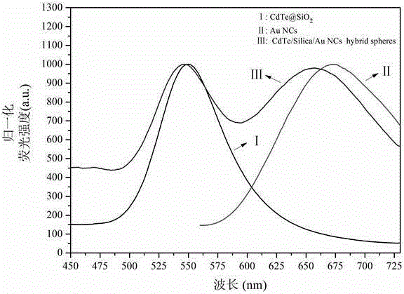 Preparation method and application of ratiometric double fluorescence probe