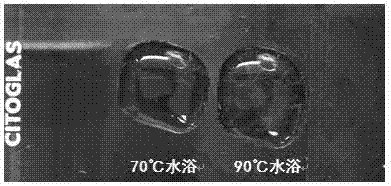 Dyeing method for observing collagenous fibers by adopting polarization microscope